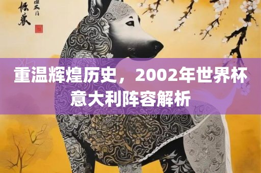重温辉煌历史，2002年世界杯意大利阵容解析