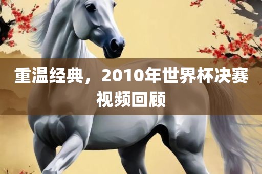 重温经典，2010年世界杯决赛视频回顾