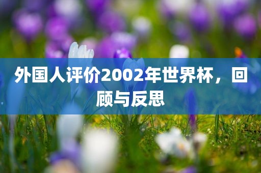 外国人评价2002年世界杯，回顾与反思