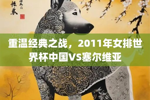 重温经典之战，2011年女排世界杯中国VS塞尔维亚