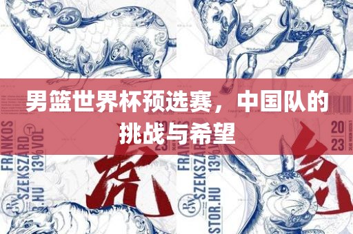 男篮世界杯预选赛，中国队的挑战与希望