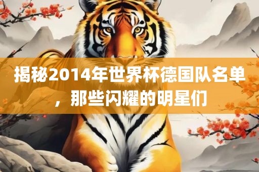 揭秘2014年世界杯德国队名单，那些闪耀的明星们