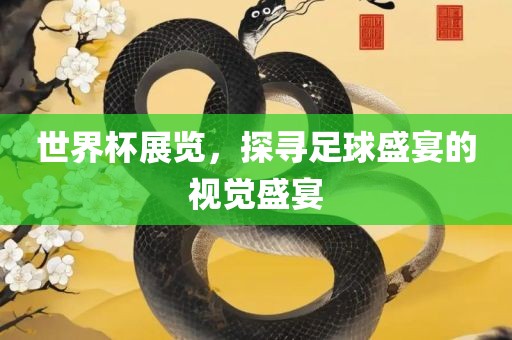 世界杯展览，探寻足球盛宴的视觉盛宴
