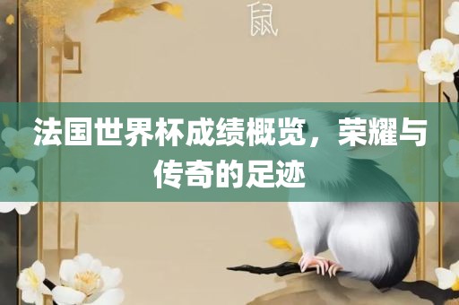 法国世界杯成绩概览，荣耀与传奇的足迹