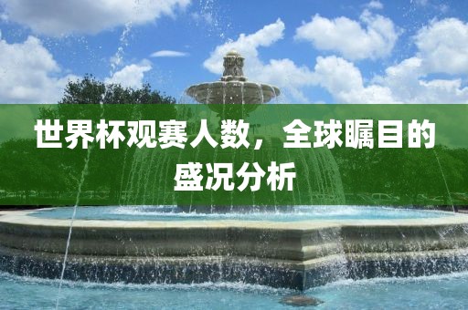 世界杯观赛人数，全球瞩目的盛况分析