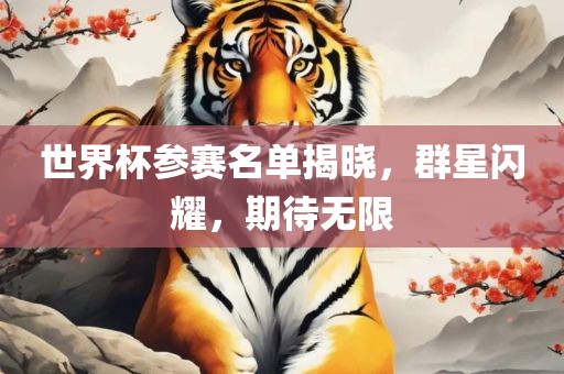 世界杯参赛名单揭晓，群星闪耀，期待无限