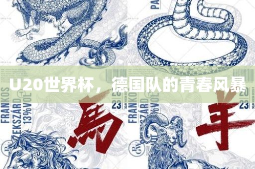 U20世界杯，德国队的青春风暴