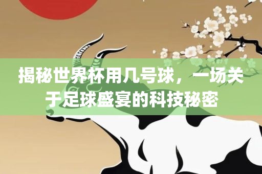 揭秘世界杯用几号球，一场关于足球盛宴的科技秘密