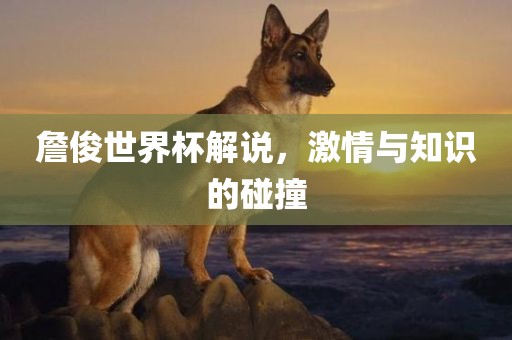 詹俊世界杯解说，激情与知识的碰撞