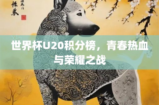世界杯U20积分榜，青春热血与荣耀之战