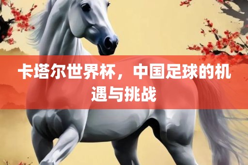 卡塔尔世界杯，中国足球的机遇与挑战