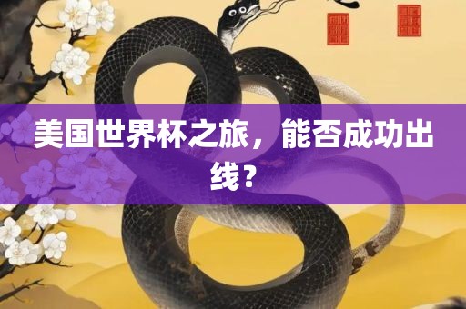 美国世界杯之旅，能否成功出线？