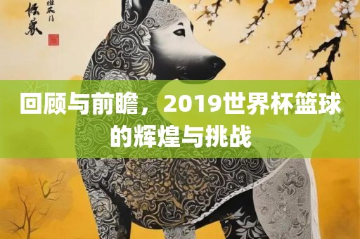 回顾与前瞻,2019世界杯篮球的辉煌与挑战