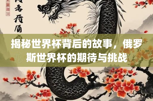 揭秘世界杯背后的故事，俄罗斯世界杯的期待与挑战