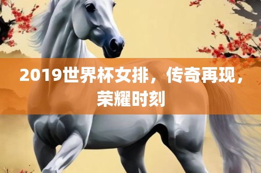 2019世界杯女排，传奇再现，荣耀时刻