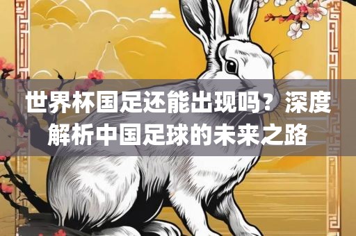世界杯国足还能出现吗？深度解析中国足球的未来之路