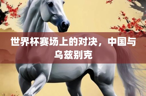 世界杯赛场上的对决，中国与乌兹别克