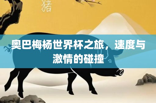 奥巴梅杨世界杯之旅，速度与激情的碰撞