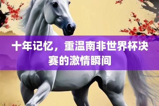 十年记忆，重温南非世界杯决赛的激情瞬间