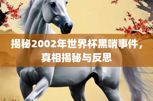 揭秘2002年世界杯黑哨事件，真相揭秘与反思