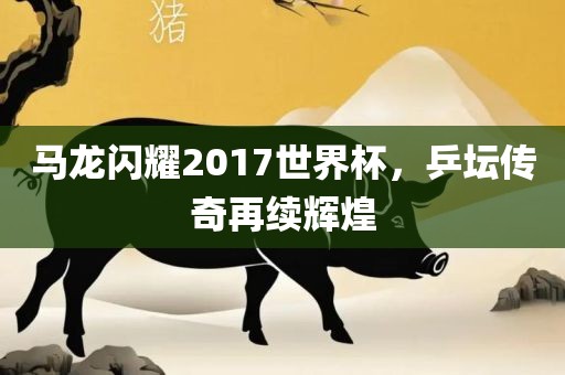马龙闪耀2017世界杯，乒坛传奇再续辉煌