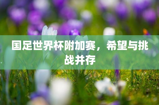 国足世界杯附加赛，希望与挑战并存