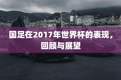 国足在2017年世界杯的表现，回顾与展望