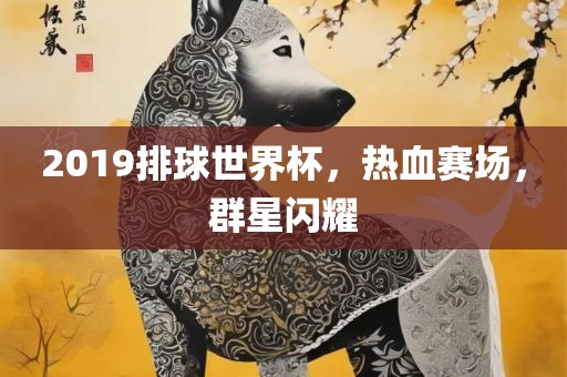 2019排球世界杯，热血赛场，群星闪耀