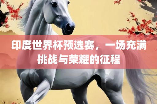 印度世界杯预选赛，一场充满挑战与荣耀的征程