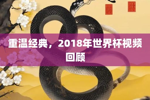 重温经典，2018年世界杯视频回顾