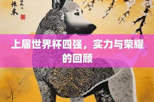 上届世界杯四强，实力与荣耀的回顾