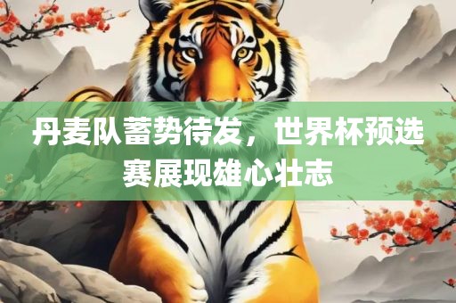 丹麦队蓄势待发，世界杯预选赛展现雄心壮志