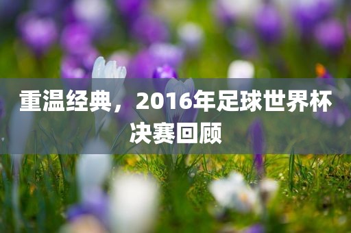 重温经典，2016年足球世界杯决赛回顾