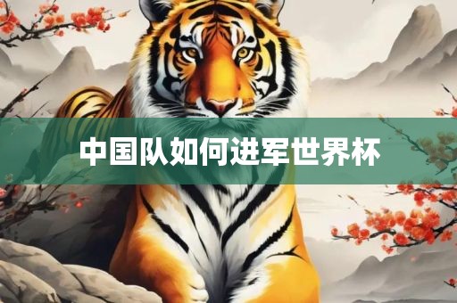 中国队如何进军世界杯