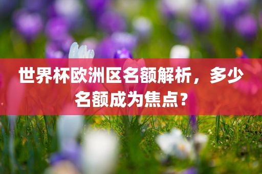 世界杯欧洲区名额解析,多少名额成为焦点?