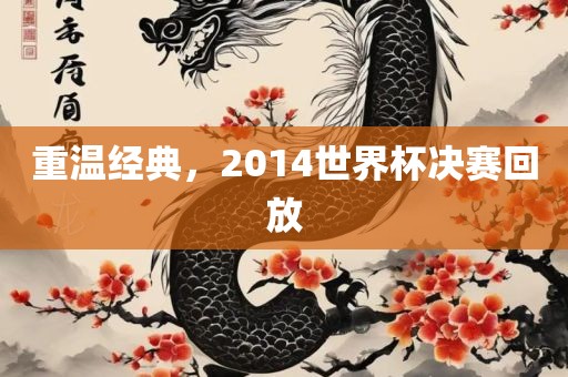 重温经典，2014世界杯决赛回放