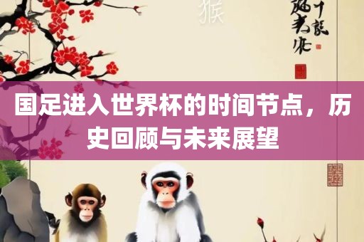 国足进入世界杯的时间节点，历史回顾与未来展望