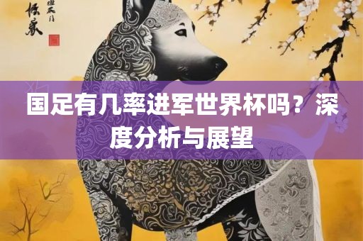 国足有几率进军世界杯吗?深度分析与展望