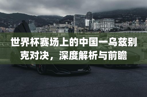 世界杯赛场上的中国一乌兹别克对决，深度解析与前瞻