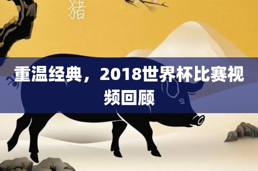 重温经典，2018世界杯比赛视频回顾