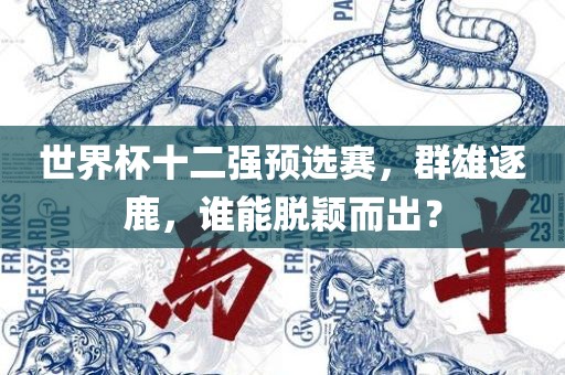 世界杯十二强预选赛，群雄逐鹿，谁能脱颖而出？