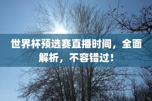 世界杯预选赛直播时间，全面解析，不容错过！