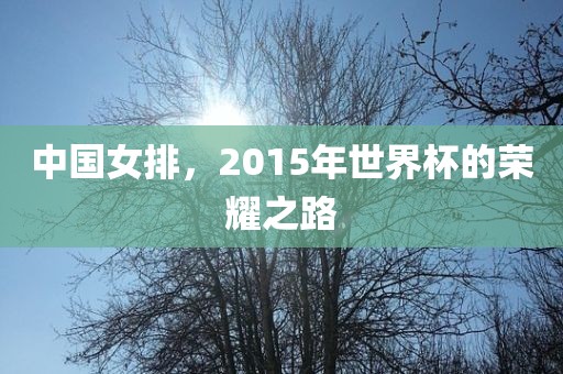 中国女排，2015年世界杯的荣耀之路