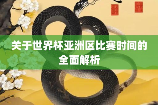 关于世界杯亚洲区比赛时间的全面解析