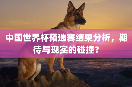 中国世界杯预选赛结果分析，期待与现实的碰撞？