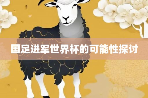国足进军世界杯的可能性探讨