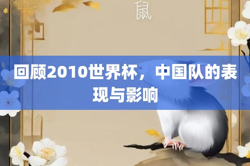 回顾2010世界杯，中国队的表现与影响