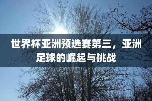 世界杯亚洲预选赛第三，亚洲足球的崛起与挑战