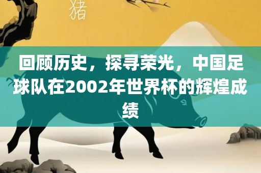 回顾历史，探寻荣光，中国足球队在2002年世界杯的辉煌成绩