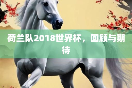 荷兰队2018世界杯，回顾与期待